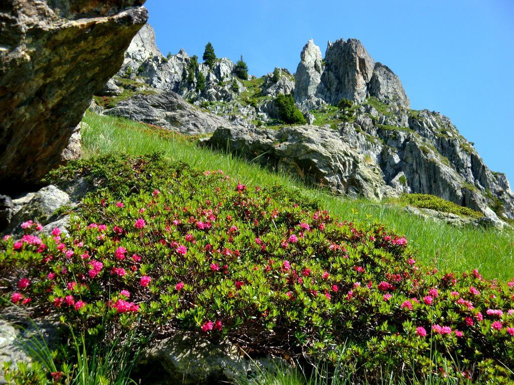 Auberge La Douce Montagne Allemond Eksteriør billede
