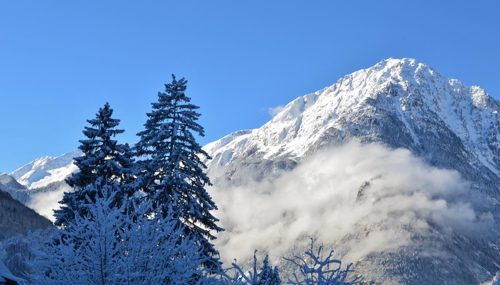 Auberge La Douce Montagne Allemond Eksteriør billede